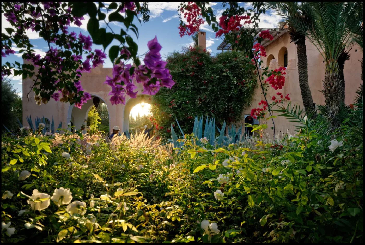 Garden, image 3