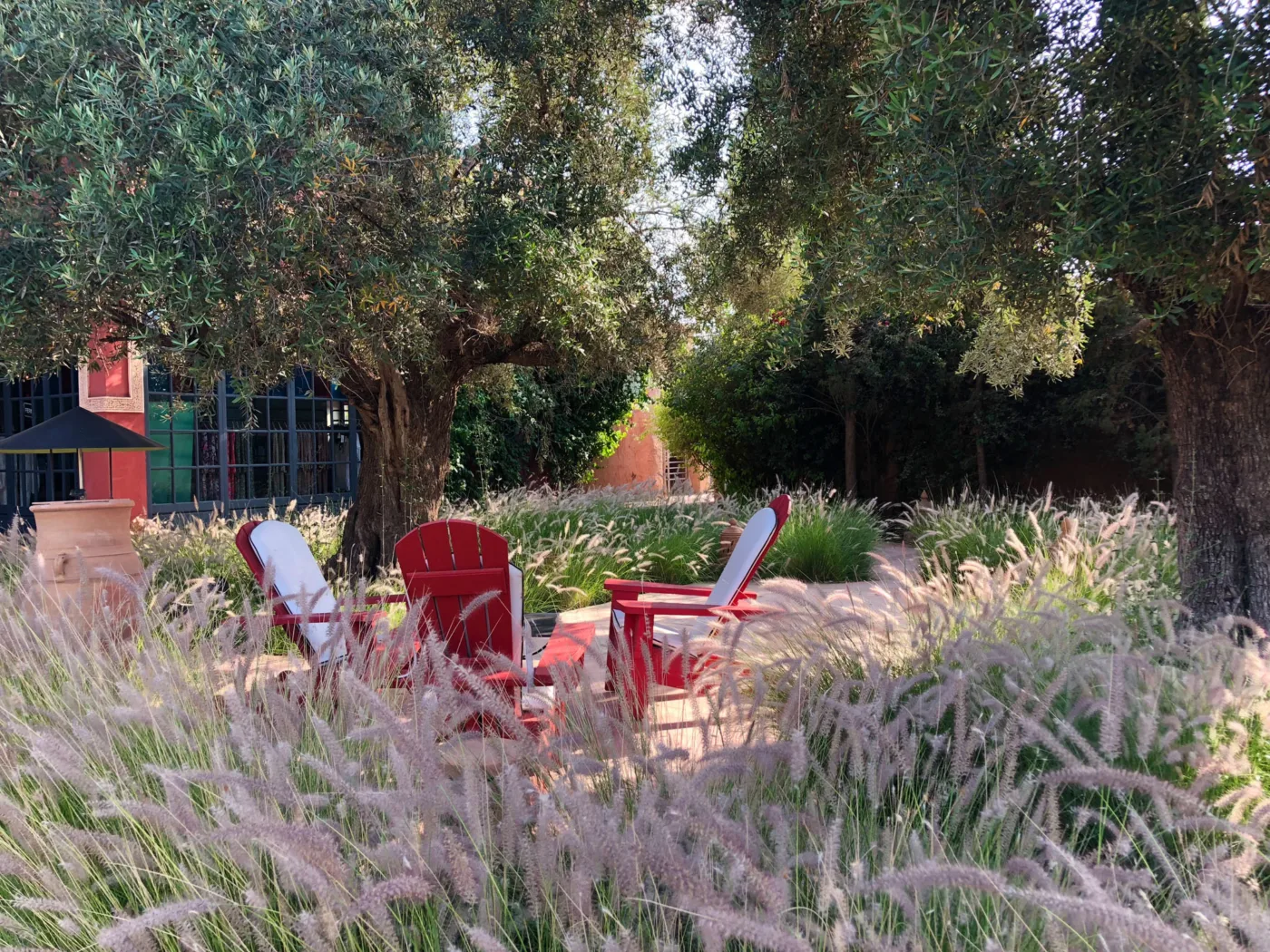 Garden, image 4