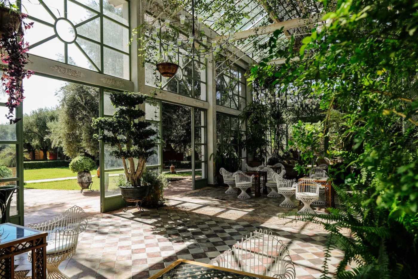 Garden, image 6