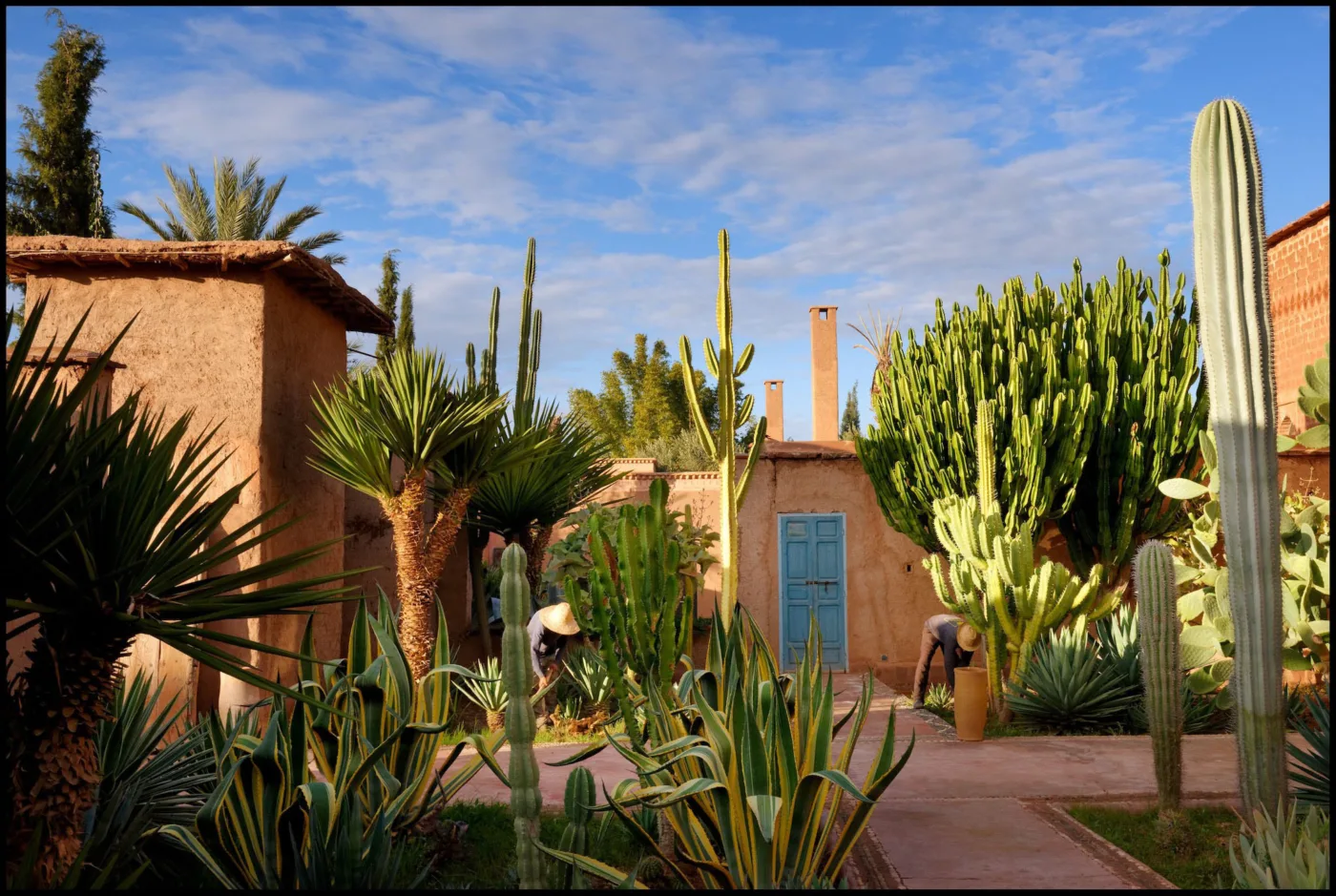 Garden, image 7