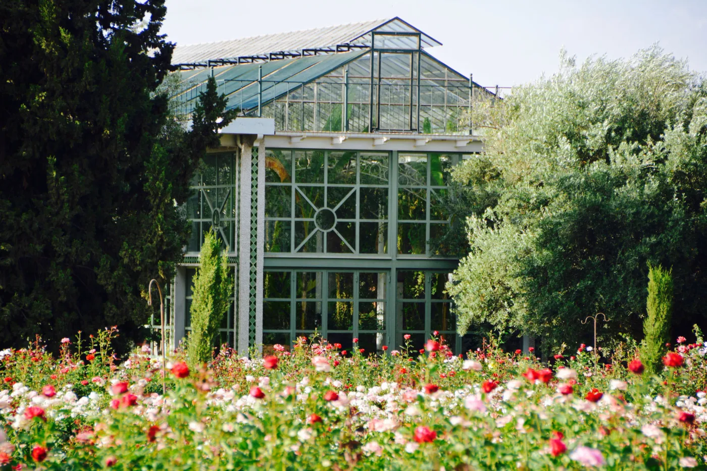 Garden, image 10