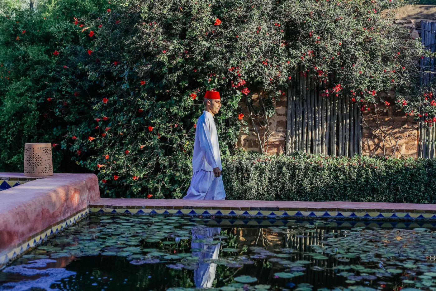 Garden, image 18